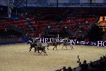 Quadrille - 00756